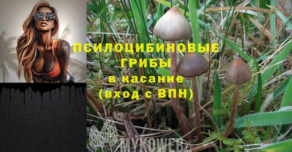 каннабис Майский